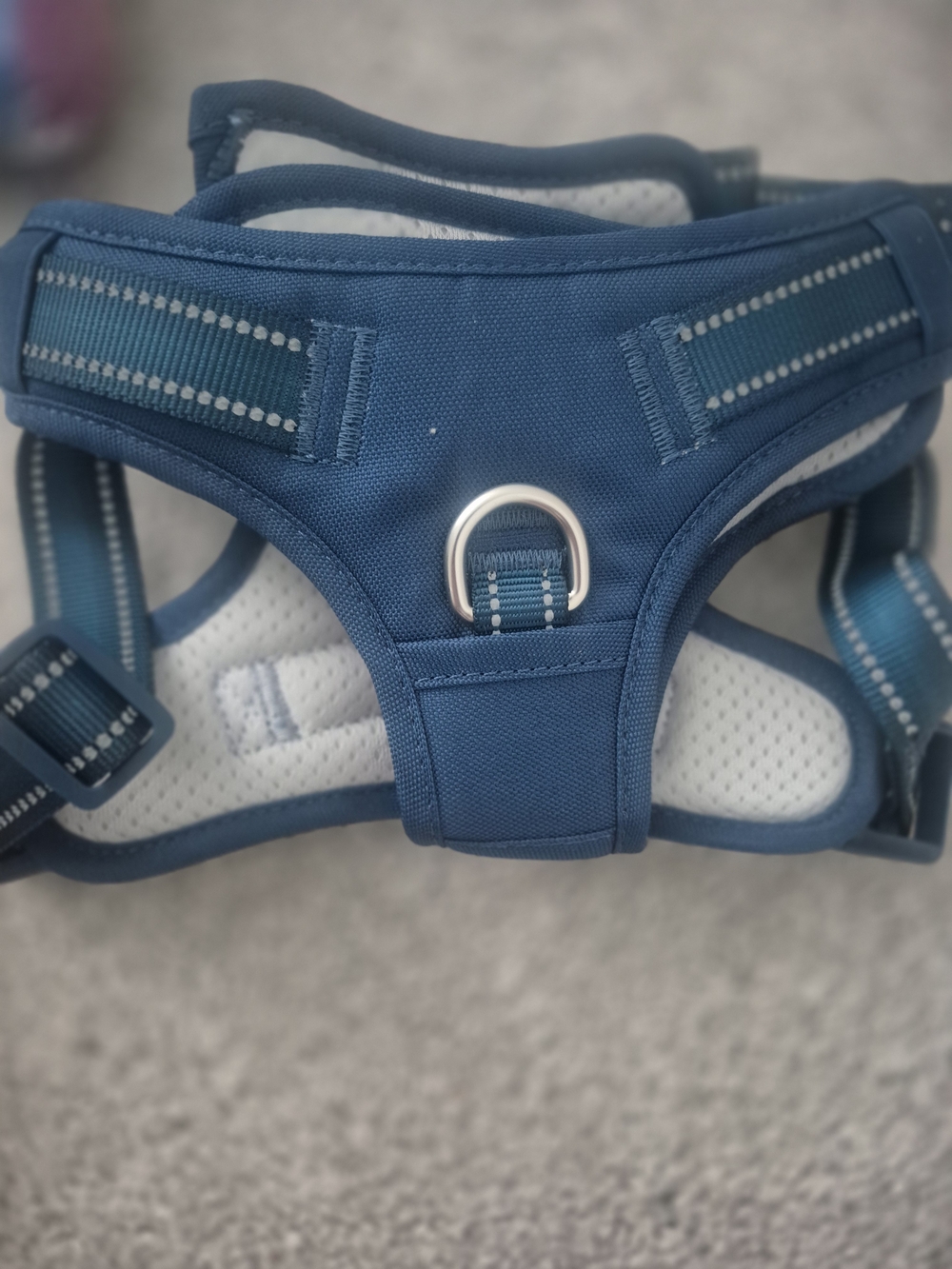 Blue Adjustable Harness Vest Size L- No Brand